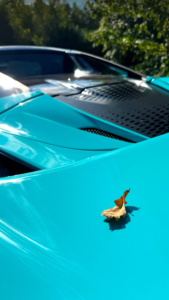 Rear bodywork and engine cover detail of the McLaren 750S Spider